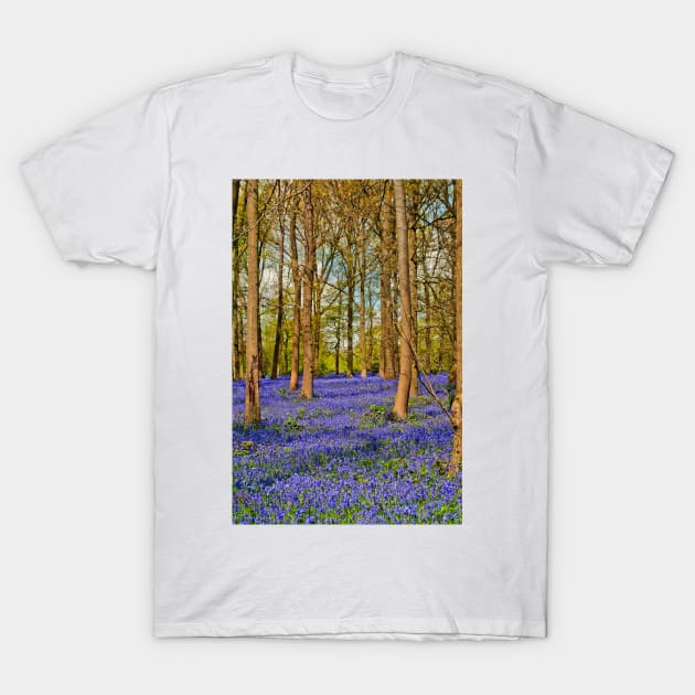 Bluebell Woods Greys Court Oxfordshire England T-Shirt by AndyEvansPhotos